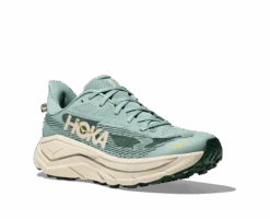 Hoka Men's Challenger 8 (JDT - Jade/Truffle Salt) -Shoes Fashion Store 1168716 JDT 6