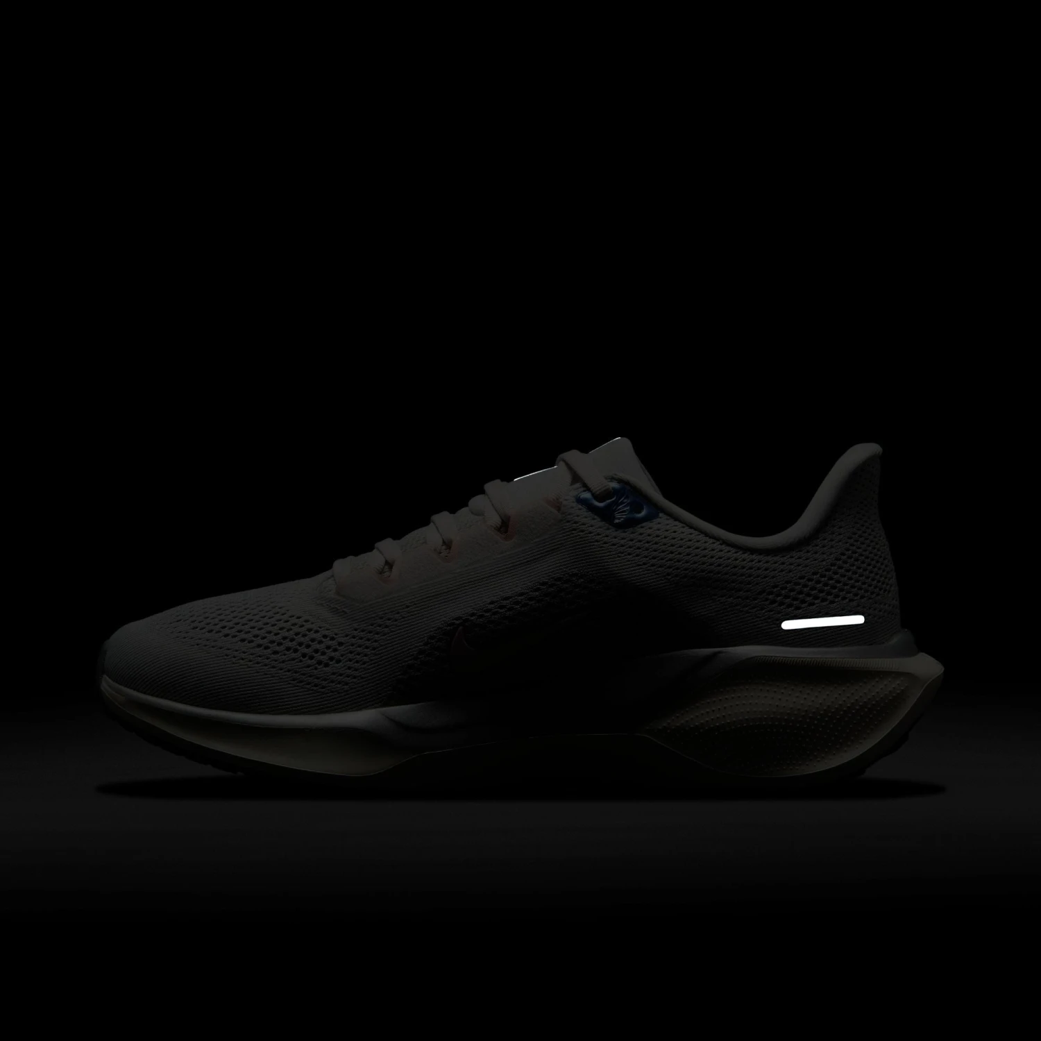 Nike Women's Pegasus 41 (007 - Photon Dust/Metallic Pewter-Sail-Echo Pink) 11 Nike Women's Pegasus 41 (007 - Photon Dust/Metallic Pewter-Sail-Echo Pink) - Image 11