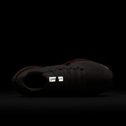 Nike Women's Pegasus 41 (011 - Phantom/Black-Picante Red-Atmosphere) -Shoes Fashion Store AURORA FD2723 011 PHSTH200 2000