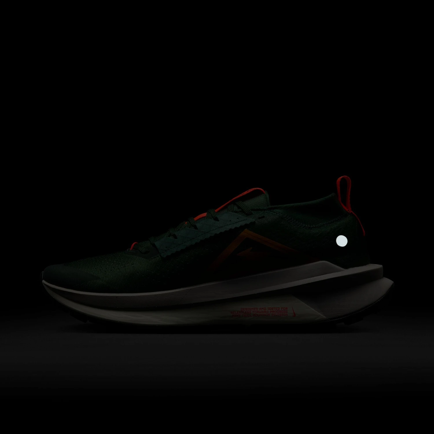 Nike Men’s Zegama Trail 2 (302 - Fir/Desert Ochre-College Grey-Sail) 10 Nike Men’s Zegama Trail 2 (302 - Fir/Desert Ochre-College Grey-Sail) - Image 10