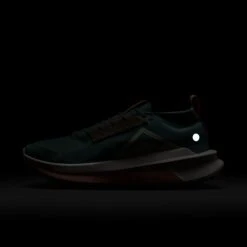 Nike Women’s Zegama Trail 2 (008 - Cannon/Soft Pearl-Orange Chalk) -Shoes Fashion Store AURORA FD5191 008 PHSLH201 2000