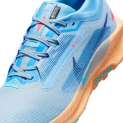 Nike Men’s React Pegasus Trail 5 GORE-TEX (400 - Blue Beyond/Blue Void-Copper Moon) 14 Nike Men’s React Pegasus Trail 5 GORE-TEX (400 - Blue Beyond/Blue Void-Copper Moon) -Shoes Fashion Store AURORA FQ0908 400 PHSYD001 2000