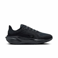 Nike Women's Pegasus 41 GORE-TEX (001 - Black/Black-Anthracite)