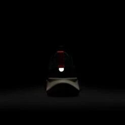 Nike Men’s Wildhorse 10 (005 - Black/Desert Ochre-Fir-Bright Crimson) -Shoes Fashion Store AURORA FV2338 005 PHSBH200 2000