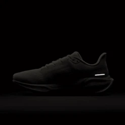 Nike Women's Pegasus 41 (133 - Sail/Sail-Crimson Tint-Vapor Green) -Shoes Fashion Store AURORA HM5539 133 PHSLH201 2000