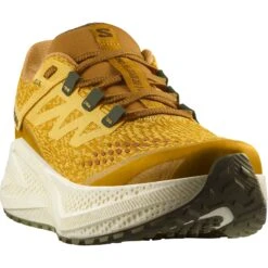 Salomon Men's Aero Glide 3 GRVL (Spicy Mustard/Vanilla Ice/Deep Lichen Green) -Shoes Fashion Store L47812000 5 GHO AEROGLIDE3GRVLSpicyMustard VanillaIce DeepLichenGreen.png.high res