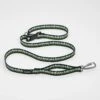 Stunt Runner Leash (Pines Green)